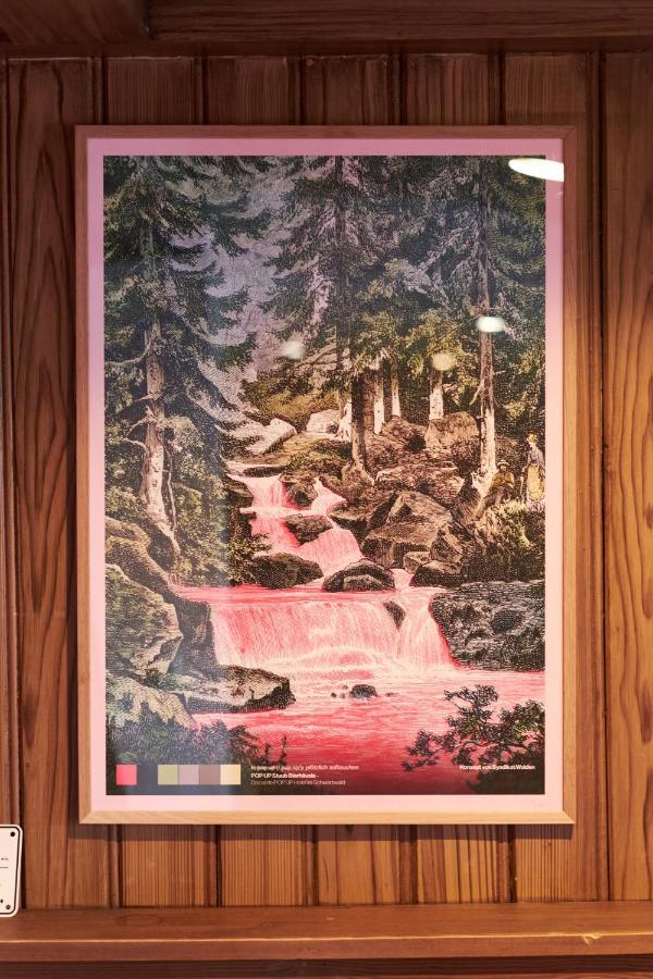 Отель Pop-Up Stuub Feldberg Фельдберг Экстерьер фото